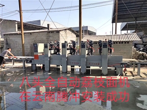 八頭全自動荔枝面機在云南騰沖安裝成功